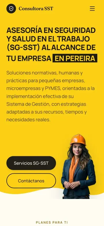 Sitio de consultoría sst en el celular